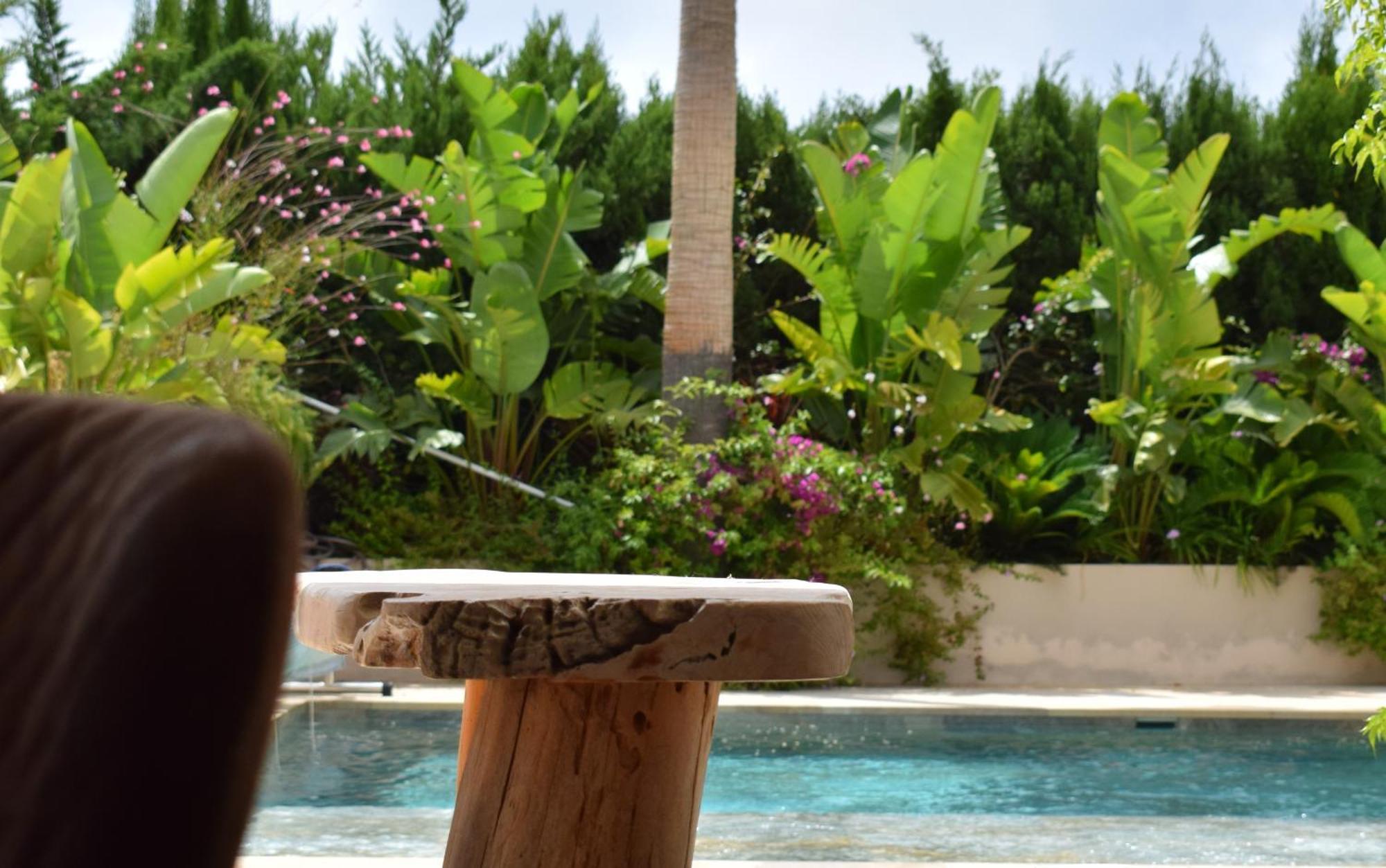 فندق Boutique Casa Lapicida كاليبي المظهر الخارجي الصورة