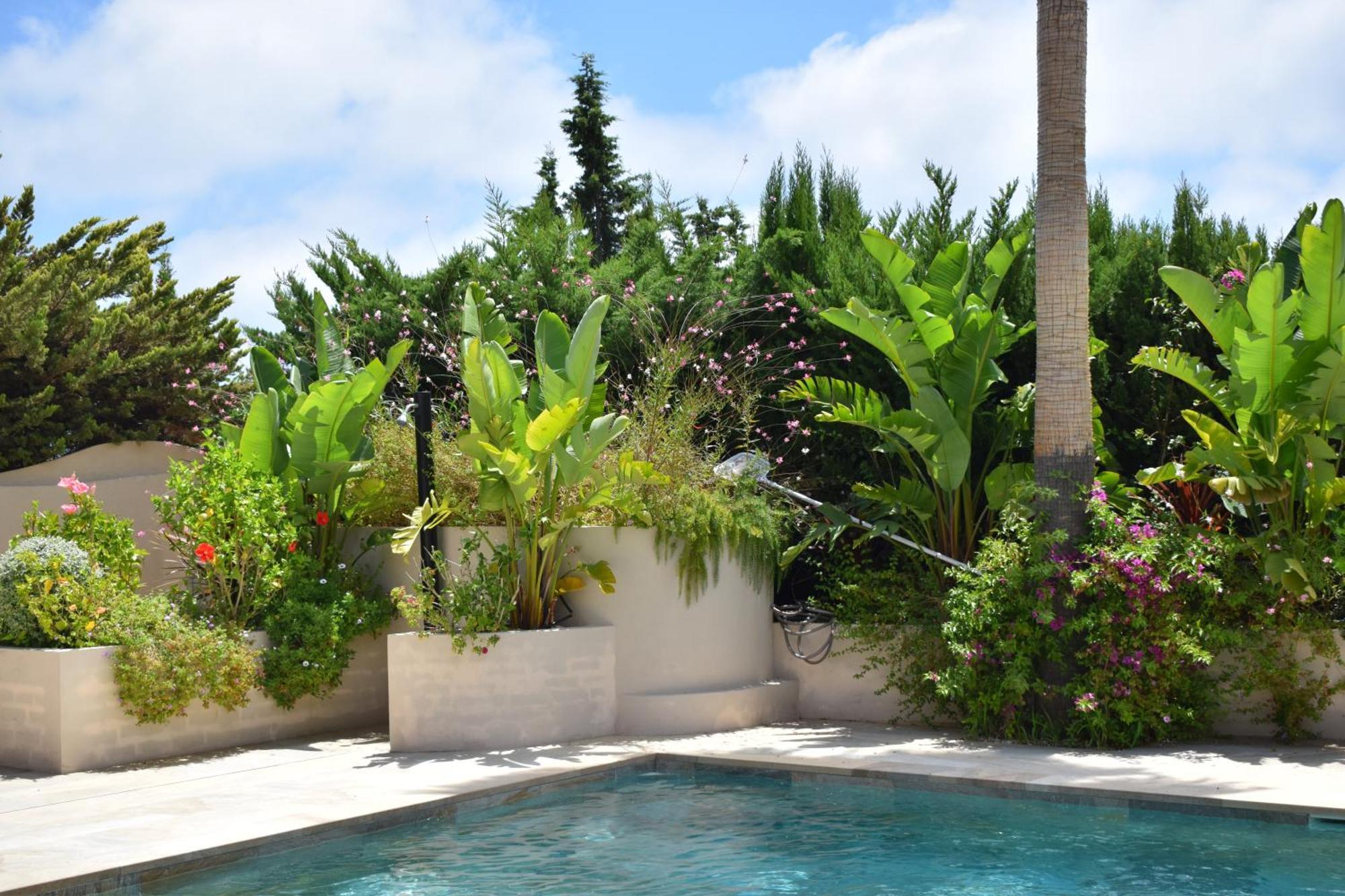 فندق Boutique Casa Lapicida كاليبي المظهر الخارجي الصورة
