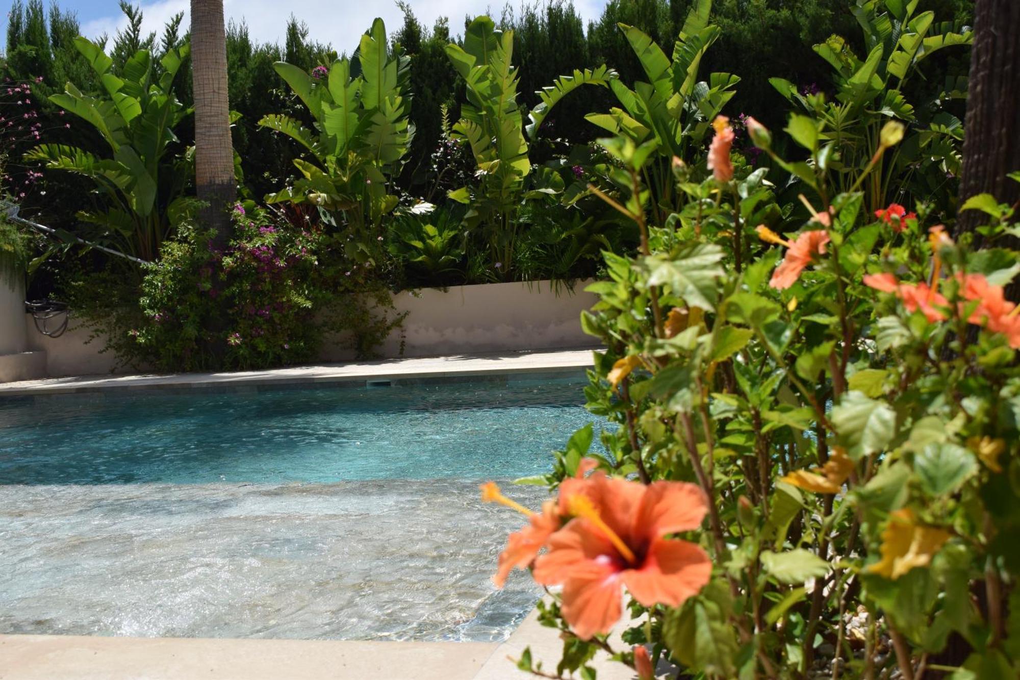 فندق Boutique Casa Lapicida كاليبي المظهر الخارجي الصورة